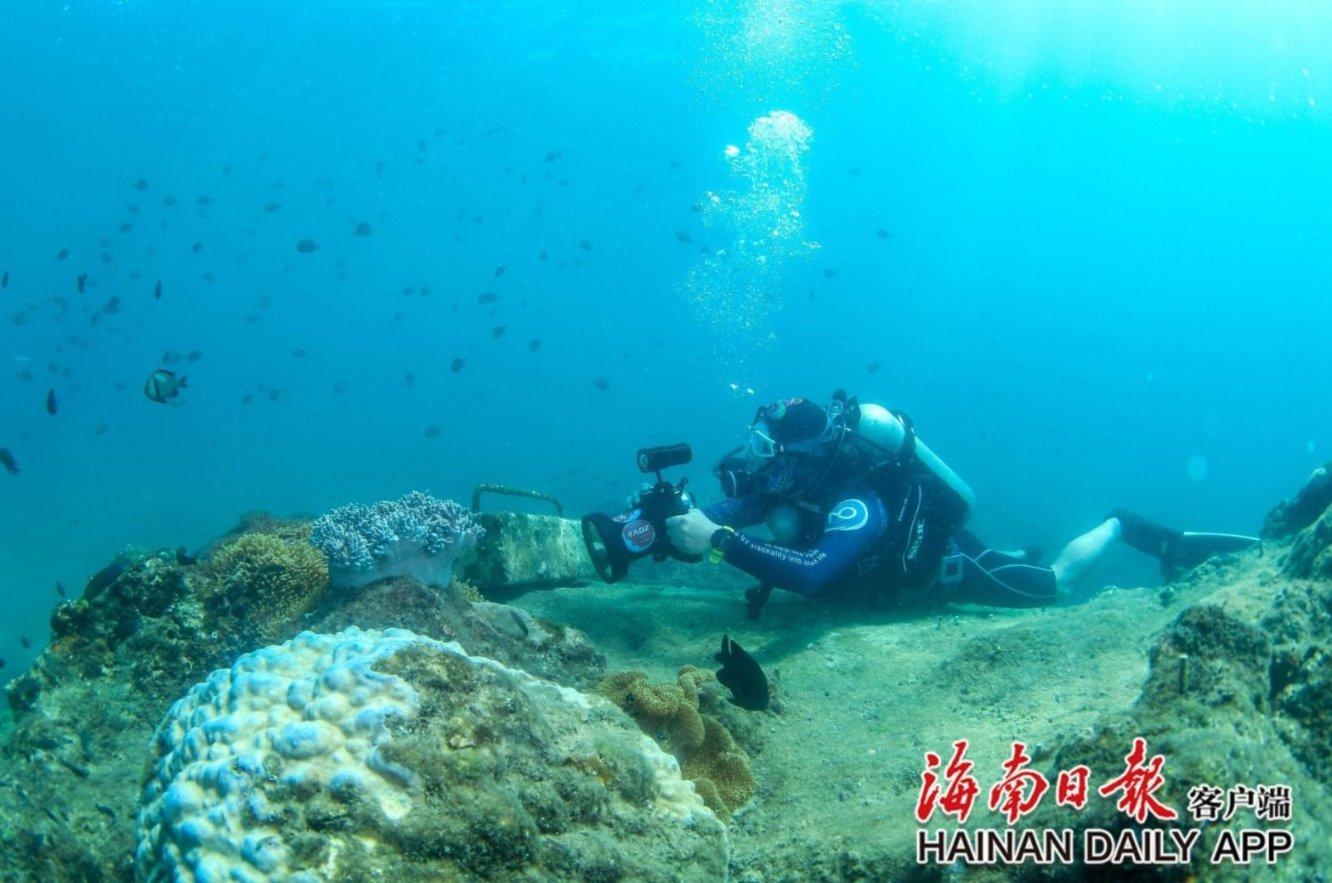 芭比一字肩